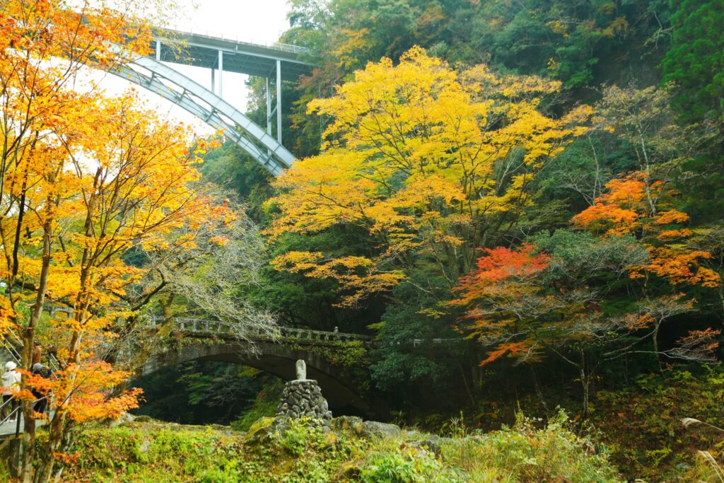 寒くなるほど、ひなた宮崎が深まる。宮崎県の“秋冬ならでは”観光スポット徹底ガイド画像1
