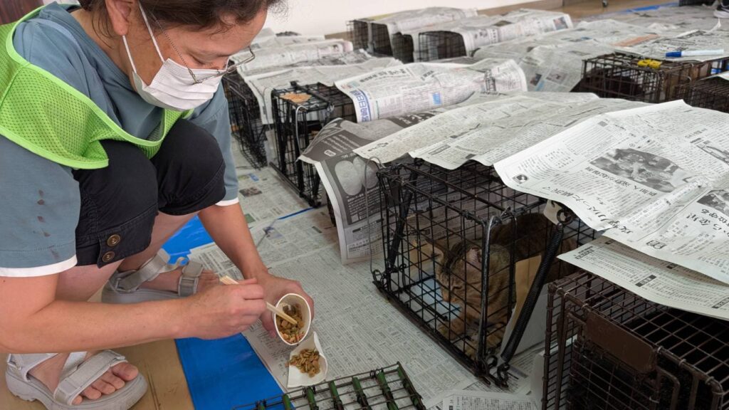 宮崎の山あいの町で終えた “命のバトン” ― どうぶつ基金病院 西臼杵、閉院へ画像5