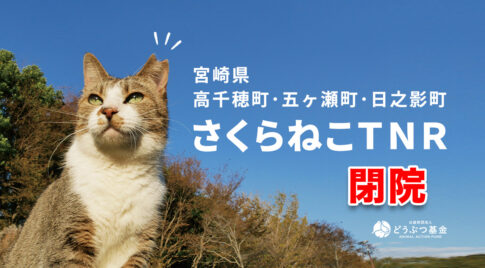 宮崎の山あいの町で終えた “命のバトン” ― どうぶつ基金病院 西臼杵、閉院へアイキャッチ画像
