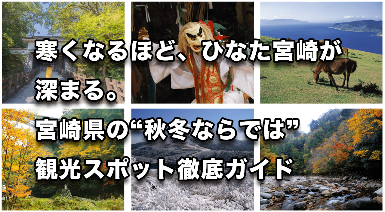 寒くなるほど、ひなた宮崎が深まる。宮崎県の“秋冬ならでは”観光スポット徹底ガイド画像
