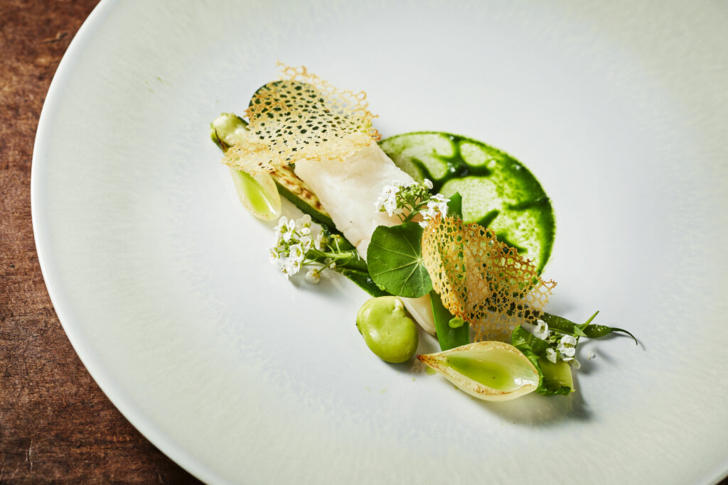 【PR】ノバレーゼ全国32会場でクリスマス特別営業　宮崎は「アマンダンブルー青島」画像1