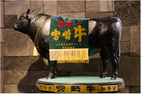 なぜ宮崎牛が“横綱”になったのか!？相撲文化と食が交差して生まれた新たな宮崎土産画像1