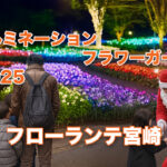 イルミネーションフラワーガーデン-アイキャッチ画像