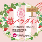 宮崎山形屋「苺パラダイス」開催中　新館5階大催場で1月19日まで（最終日16時終了）｜ほんみや宮崎-アイキャッチ画像