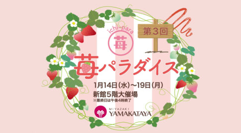 宮崎山形屋「苺パラダイス」開催中　新館5階大催場で1月19日まで（最終日16時終了）｜ほんみや宮崎-アイキャッチ画像