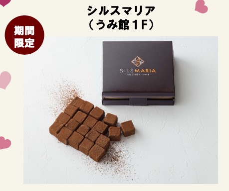 シルスマリア画像