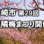 宮崎市第29回 好隣梅まつり開催案内｜青島自然休養村「好隣梅」で梅の見頃を楽しもうーアイキャッチ画像