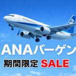 ANAバーゲンーアイキャッチ画像
