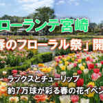 フローランテ宮崎「春のフローラル祭」開催　ラックスとチューリップ約7万球が彩る春の花イベントーアイキャッチ画像