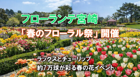 フローランテ宮崎「春のフローラル祭」開催　ラックスとチューリップ約7万球が彩る春の花イベントーアイキャッチ画像