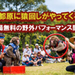 西都原このはな館で猿回しパフォーマンス開催　3月27日から5日間 入場無料で実施-ーアイキャッチ画像