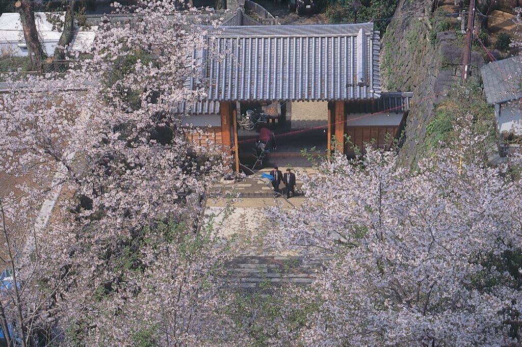 宮崎の春イベント2026まとめ　桜まつりと花の絶景スポットを一緒に楽しむ春のおでかけ案内|ほんみや宮崎ー延岡花物語