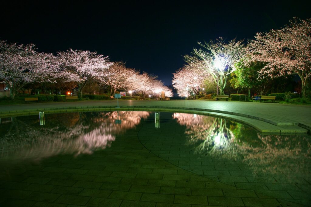 宮崎の春イベント2026まとめ　桜まつりと花の絶景スポットを一緒に楽しむ春のおでかけ案内|ほんみや宮崎ー久峰公園
