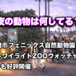 宮崎市フェニックス自然動物園「トワイライトZOOウォッチャー」3月も開催　夜の動物たちを飼育スタッフと観察