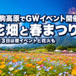 宮崎・生駒高原でGWイベント開催　花畑と春まつり、5月3日は夜イベントと花火もーアイキャッチ画像