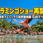 宮崎市フェニックス自然動物園でGWイベント開催！フラミンゴショー再開ーアイキャッチ画像
