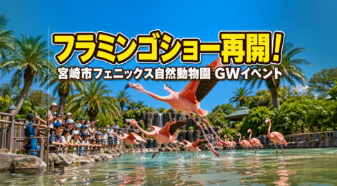 宮崎市フェニックス自然動物園でGWイベント開催！フラミンゴショー再開ーアイキャッチ画像