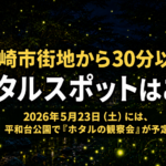 宮崎で街中から30分以内のホタルスポットはここ【2026年版】｜ほんみや宮崎