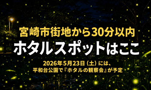 宮崎で街中から30分以内のホタルスポットはここ【2026年版】｜ほんみや宮崎