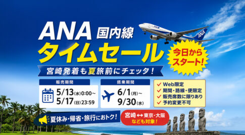 ANA国内便タイムセール