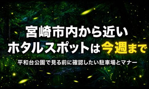 宮崎市内から近いホタルスポットは今週まで　平和台公園で見る前に確認したい駐車場とマナー｜ほんみや宮崎