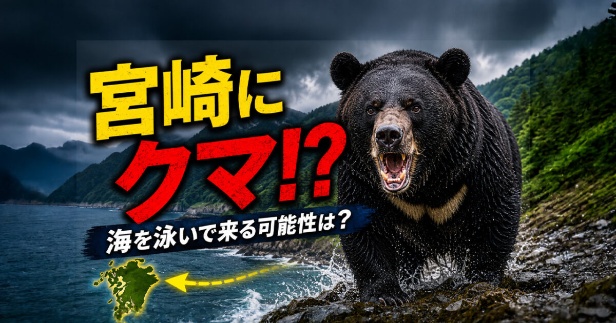 投稿 ブロック 宮崎に熊が出る可能性はゼロじゃない！？海を泳いで九州に来る可能性まで調べてみた｜ほんみや宮崎