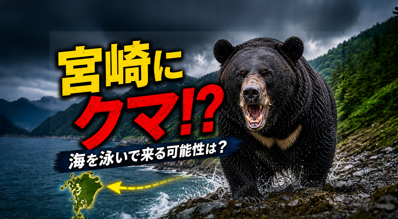投稿 ブロック 宮崎に熊が出る可能性はゼロじゃない！？海を泳いで九州に来る可能性まで調べてみた｜ほんみや宮崎