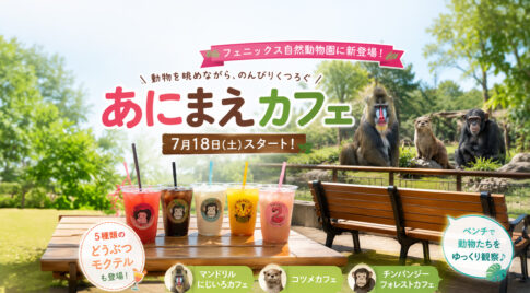 フェニックス自然動物園に「あにまえカフェ」誕生！動物を眺めながら楽しむモクテルも登場｜ほんみや宮崎