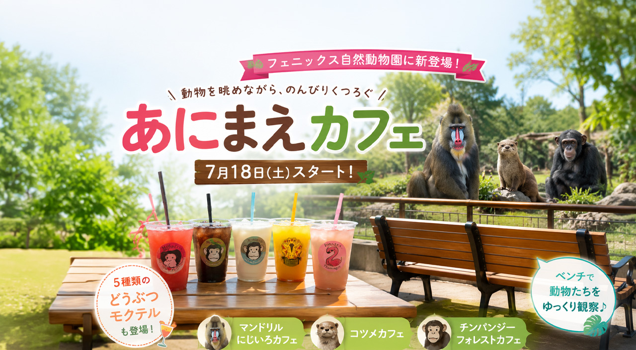 フェニックス自然動物園に「あにまえカフェ」誕生！動物を眺めながら楽しむモクテルも登場｜ほんみや宮崎
