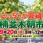 【明日9月20日】宮崎県庁前で「楠並木朝市」開催！県内グルメや特産品がずらり|ほんみや宮崎