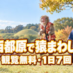 【西都市】このはな館で猿まわし！観覧無料・1日7回公演、9月23日まで｜ほんみや宮崎