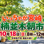 【10月18日】宮崎県庁前で「楠並木朝市」！朝8時からグルメ・特産品の買い物へ