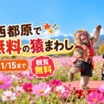 【西都市】このはな館で猿まわし！観覧無料・1日7回公演、9月23日まで｜ほんみや宮崎